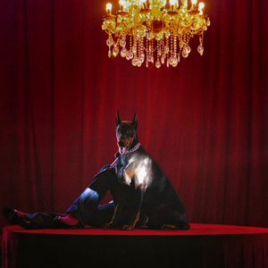 桂哥视频网站在线观看
